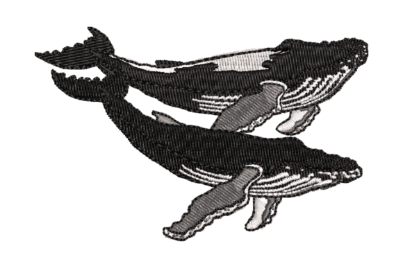 Review: Playful Whale Embroidery Design for Apparel
